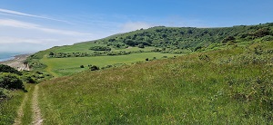 Whitbread Hollow